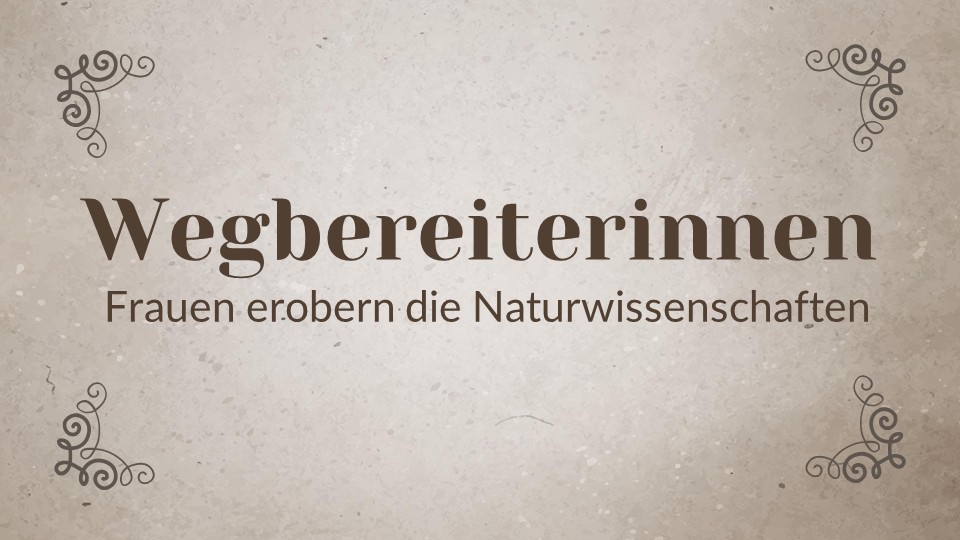 Wegbereiterinnen t